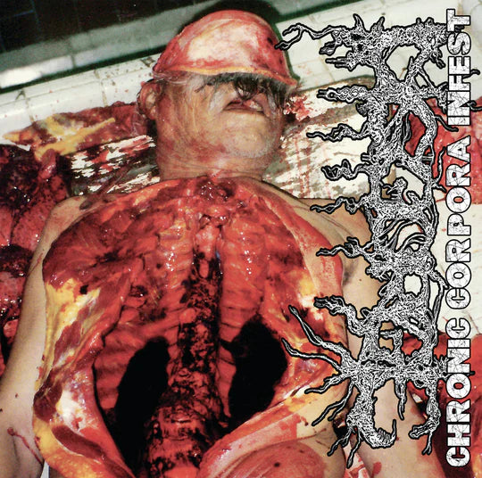 DISGORGE - Chronic Corpora Infest (12" LP)