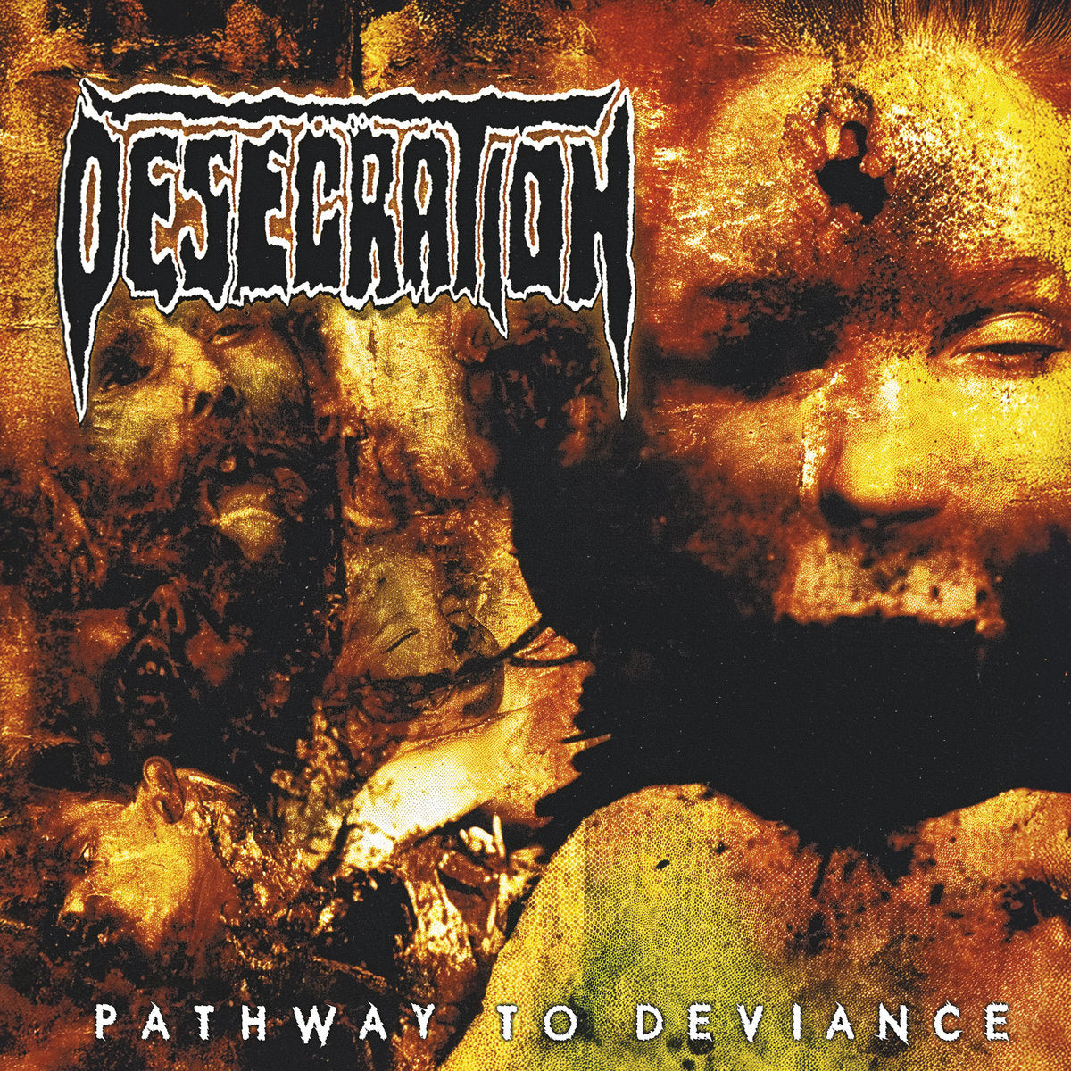 DESECRATION - Pathway To Deviance (12