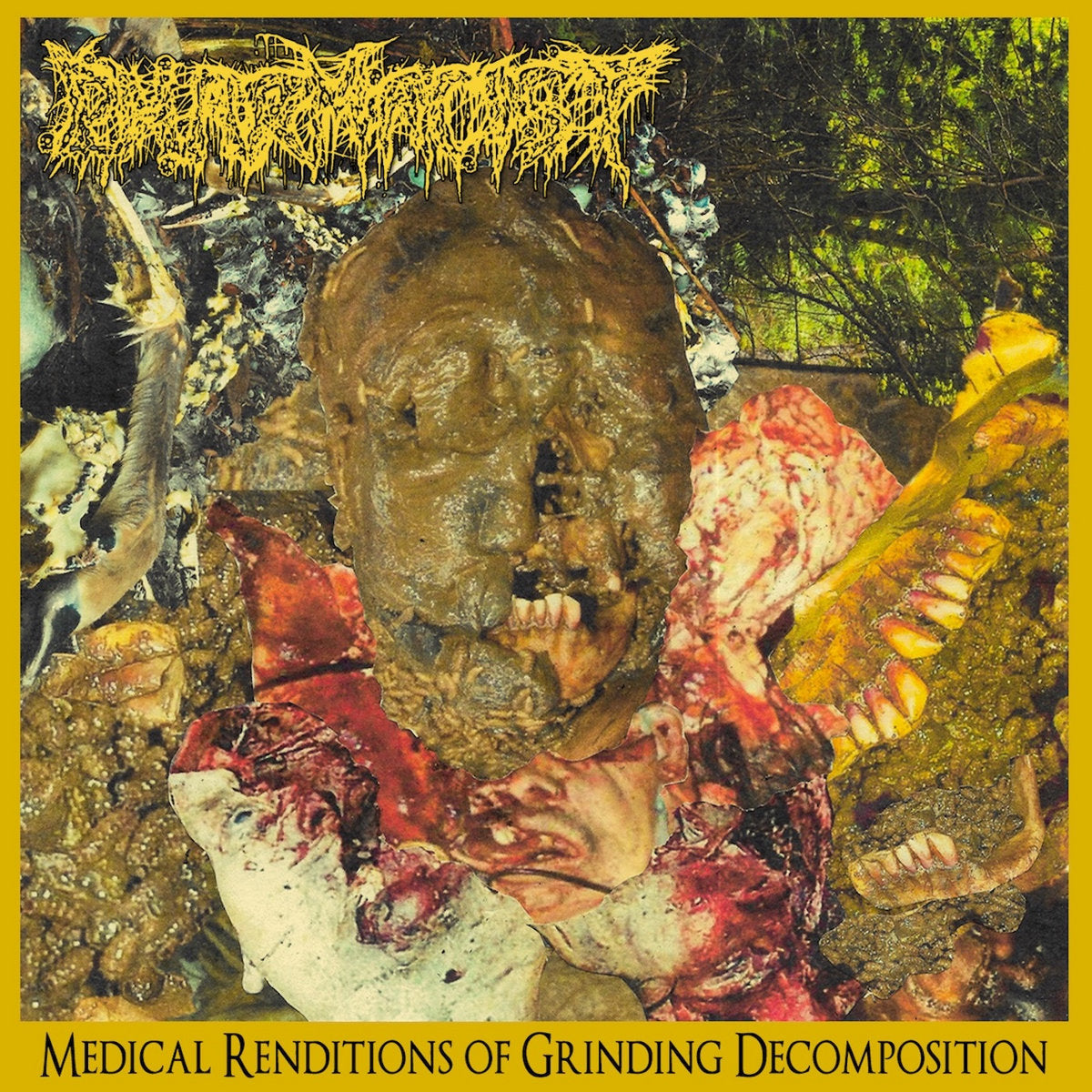 PHARMACIST - Medical Renditions Of Grinding Decomposition (12" Gatefold LP)