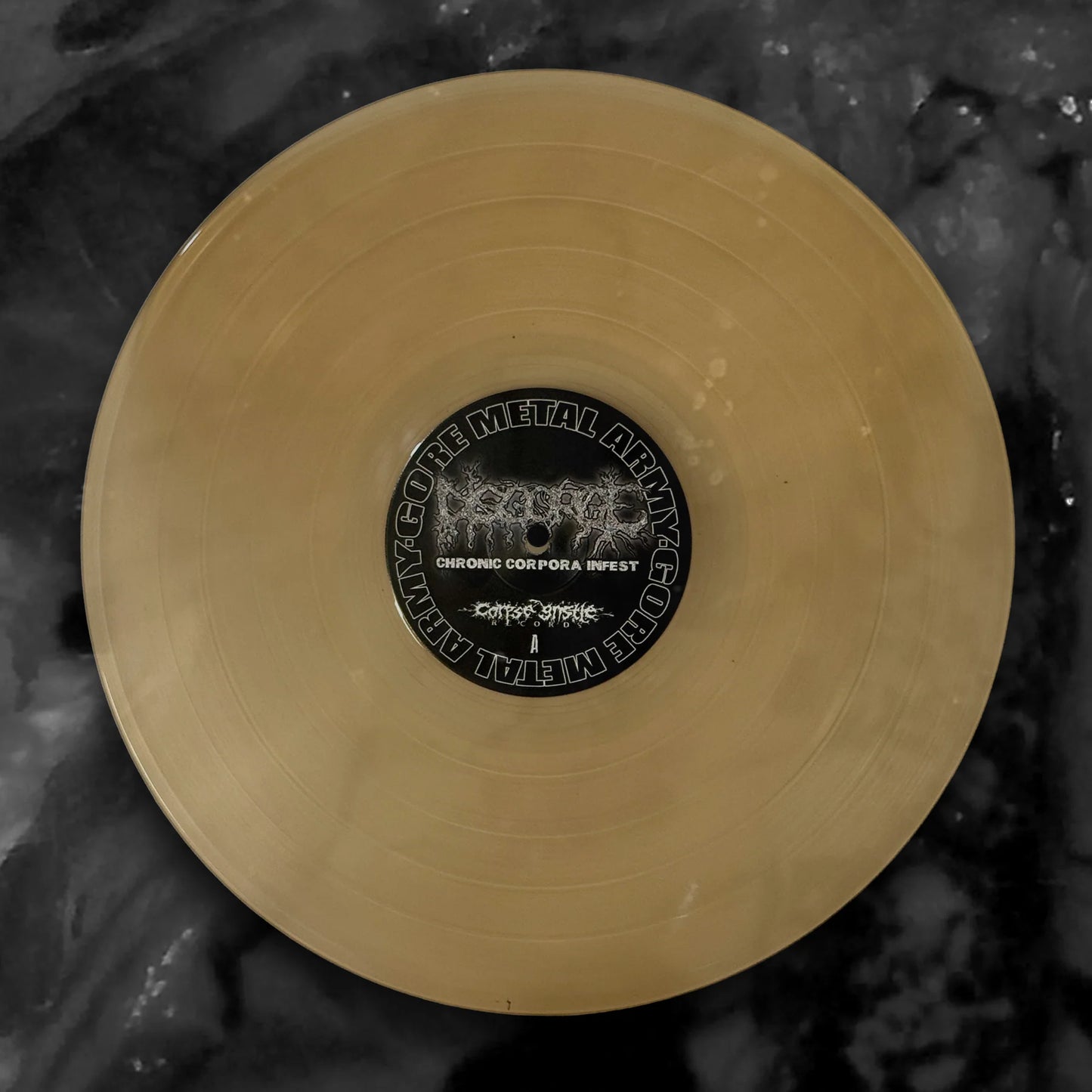 DISGORGE - Chronic Corpora Infest (12" LP)